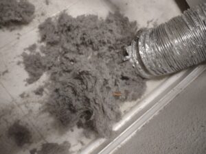 Dryer lint pile on floor during cleaning
